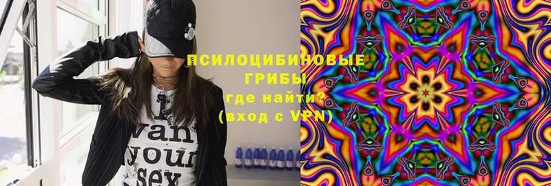 Псилоцибиновые грибы Psilocybine cubensis Еманжелинск